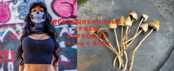 каннабис Арсеньев