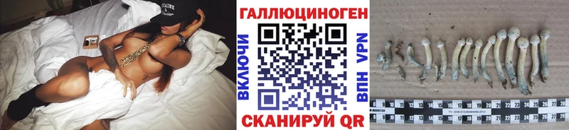 Псилоцибиновые грибы Cubensis  Тейково 